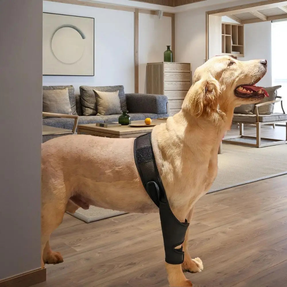 Vetano | Schutzbandage für Hunde-Beine mit Klettverschluss