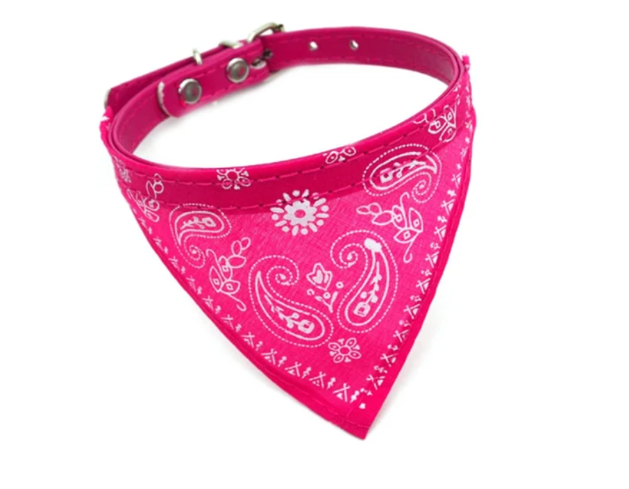 LunaPaw | Bandana-Hundehalsband für kleine Hunde
