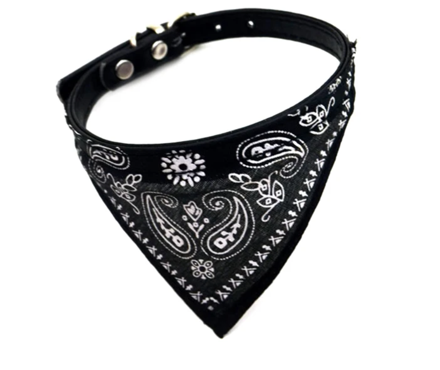 LunaPaw | Bandana-Hundehalsband für kleine Hunde