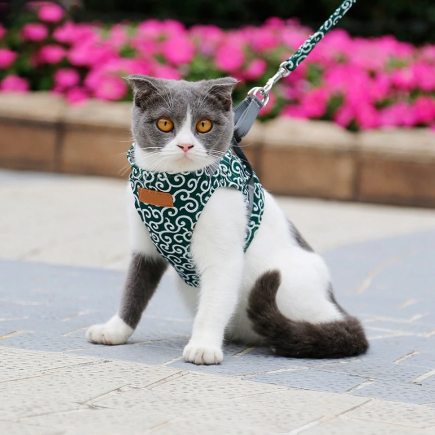 Mikano | Komfort-Harness für Katzen mit Leine