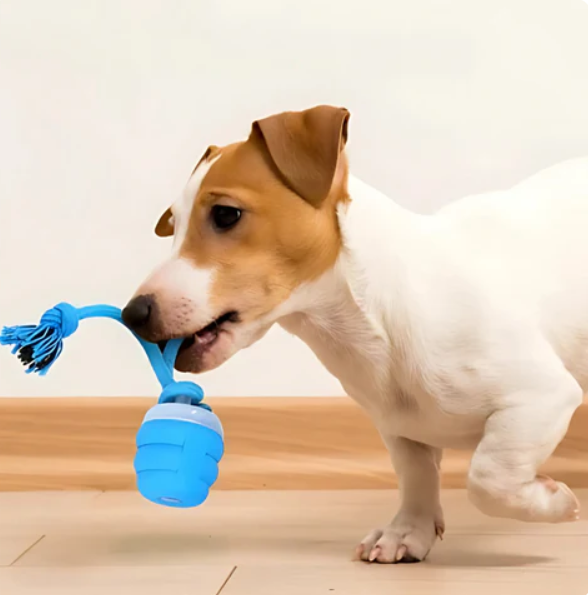 CleverChew | Interaktives Kauspielzeug für Hunde