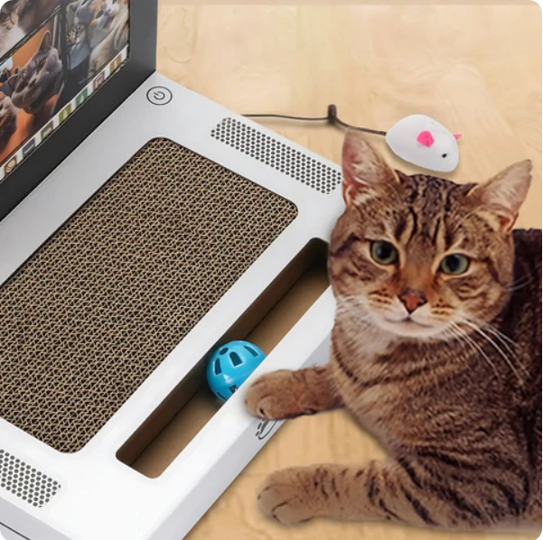 PfötchenTech | Interaktiver Kratz-Laptop für Katzen mit Spielball & Mausspielzeug