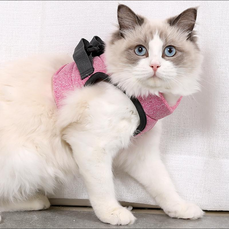 CatExplorer | Katzengeschirr mit Leine für Spaziergänge