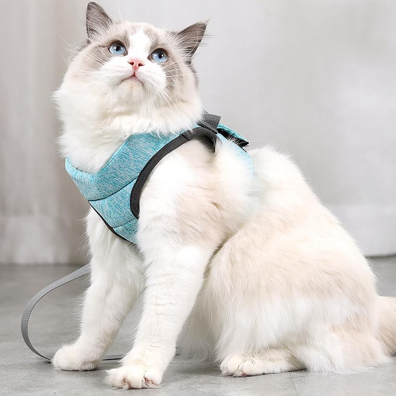 CatExplorer | Katzengeschirr mit Leine für Spaziergänge