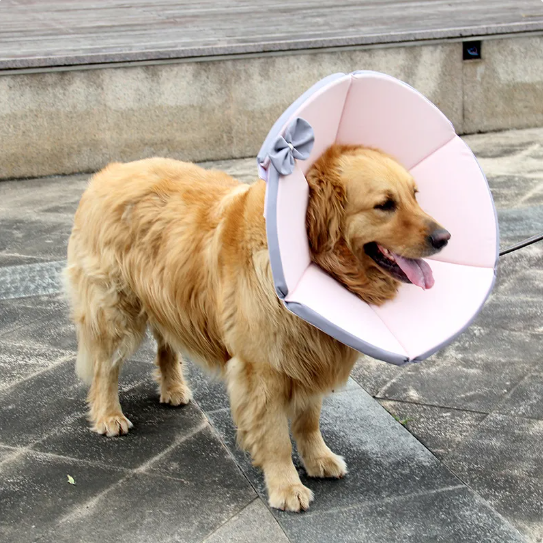 PawSoft | Schutz-Hundehalsband mit Wohlfühlkomfort