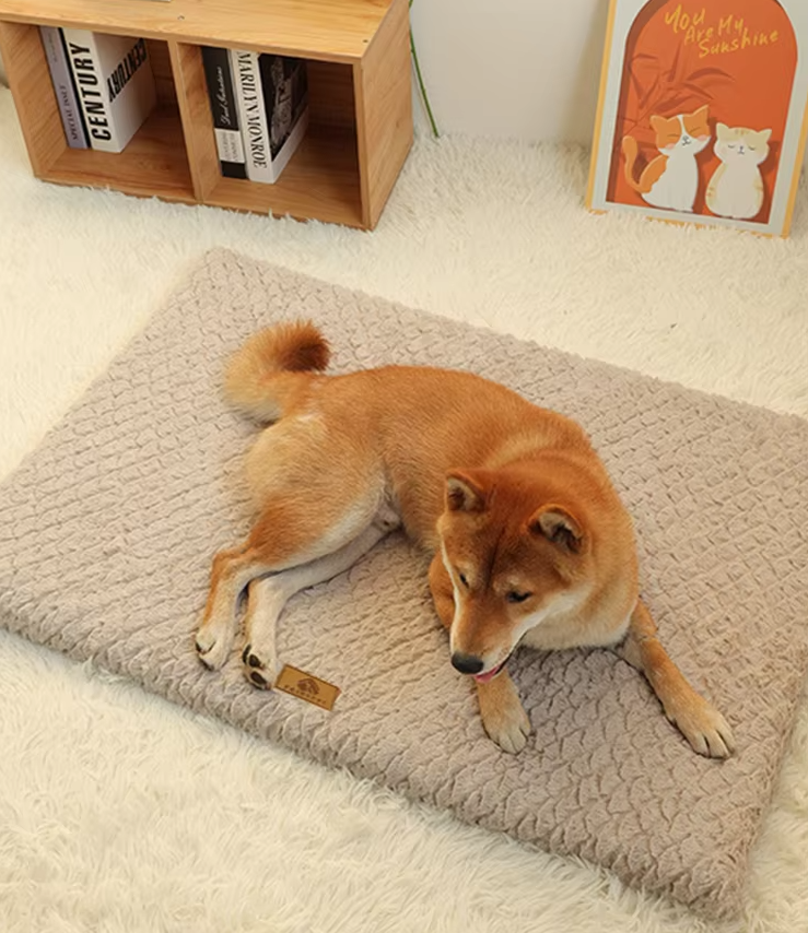BelloNest | Orthopädische Komfortmatratze für Hunde und Katzen