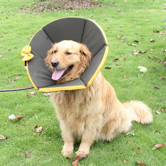 PawSoft | Schutz-Hundehalsband mit Wohlfühlkomfort