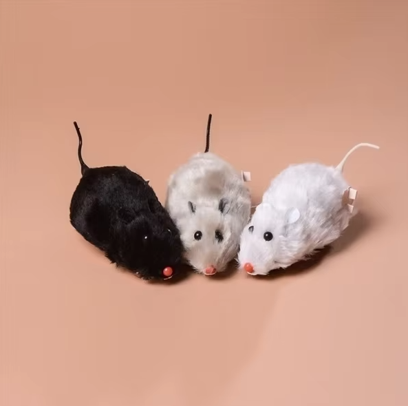 Miauzik | Elektrische Katzenspielmaus – Interaktives Jagdspielzeug