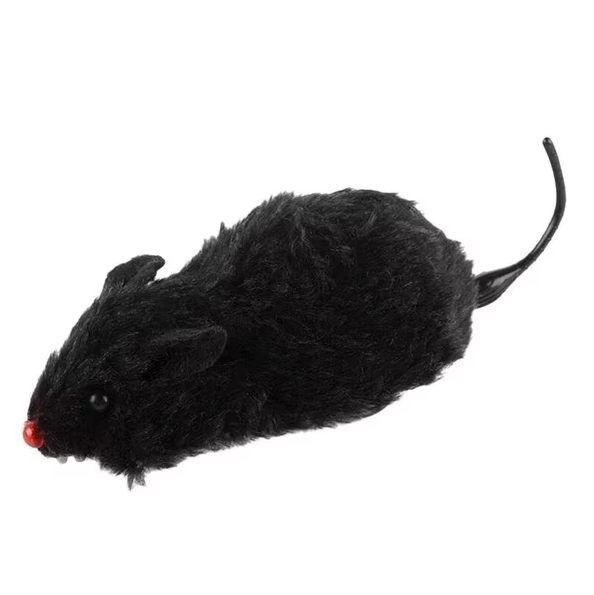 Miauzik | Elektrische Katzenspielmaus – Interaktives Jagdspielzeug