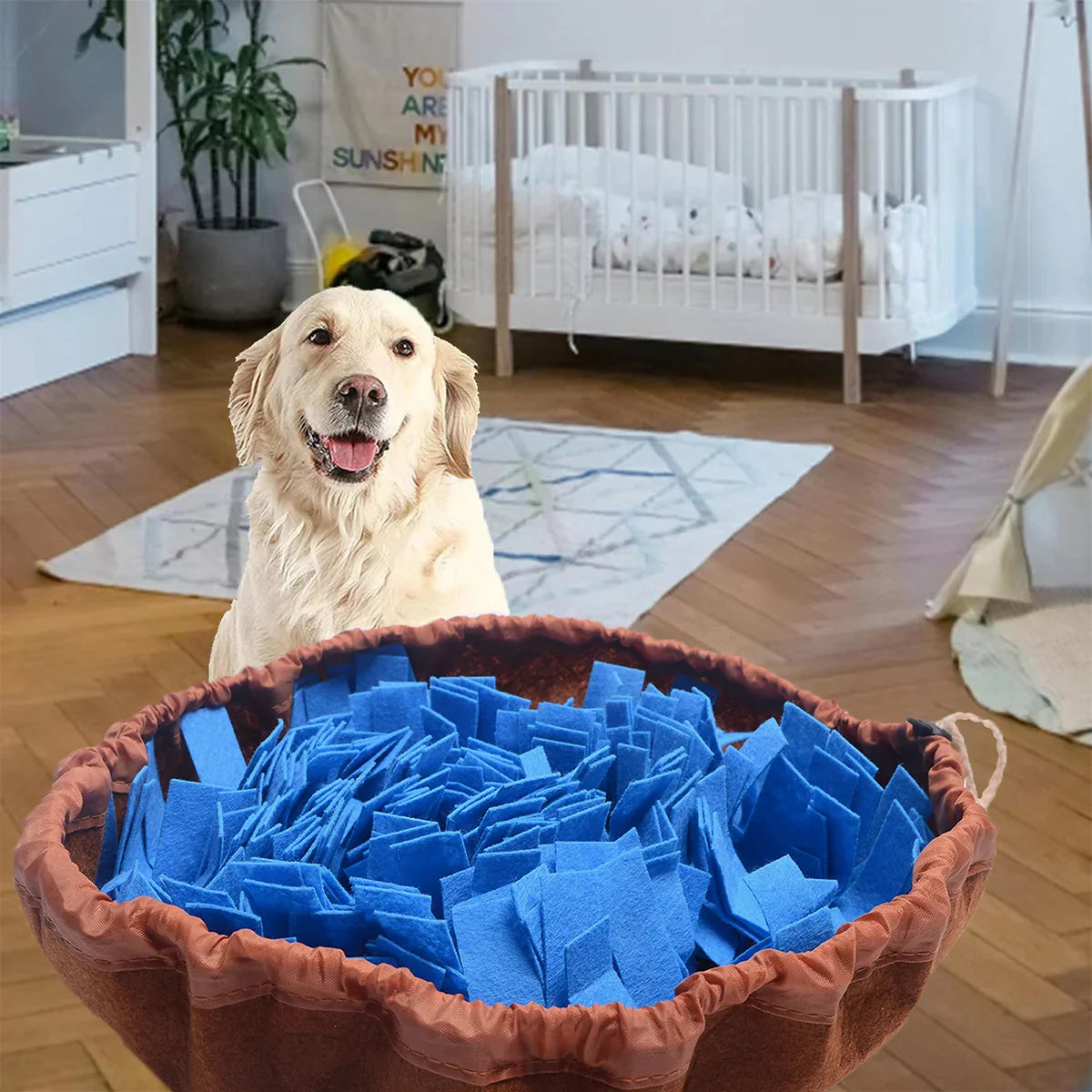 BrunoTail | Intelligente Schnüffelmatte für Hunde mit Ziehverschluss