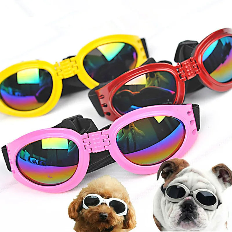 Hektor | Faltbare UV-Schutz-Hundebrille mit elastischem Komfortband