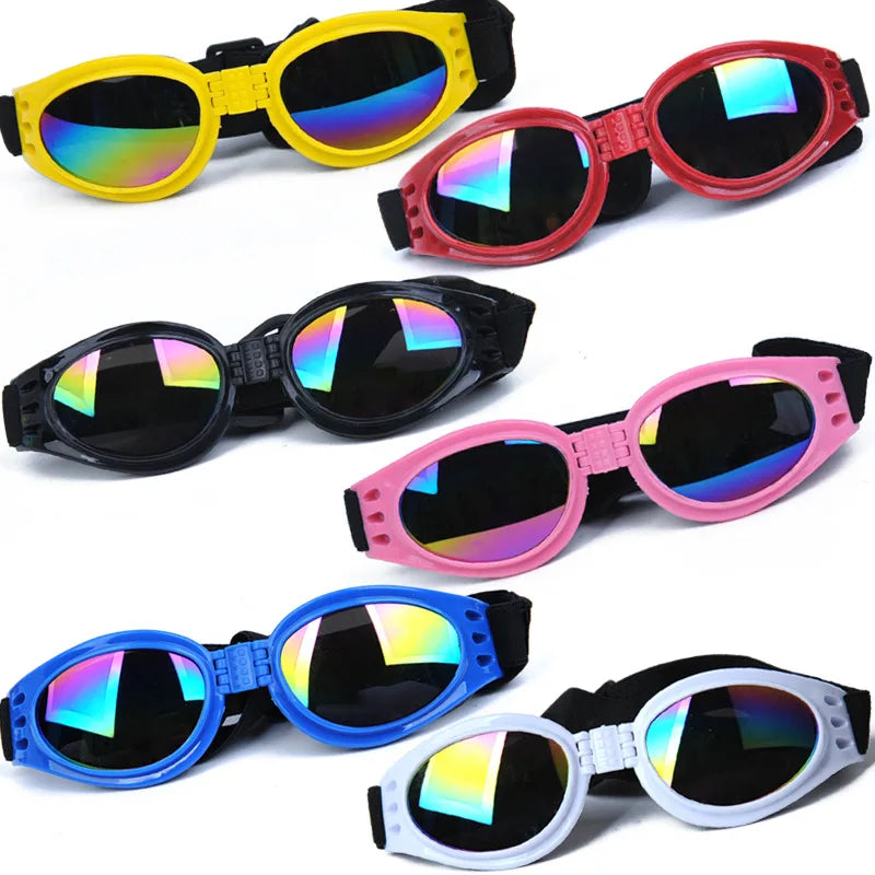 Hektor | Faltbare UV-Schutz-Hundebrille mit elastischem Komfortband