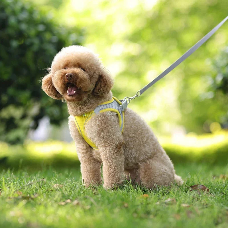 LiaPets | Komfort-Hundegeschirr mit reflektierendem Sicherheitsdesign
