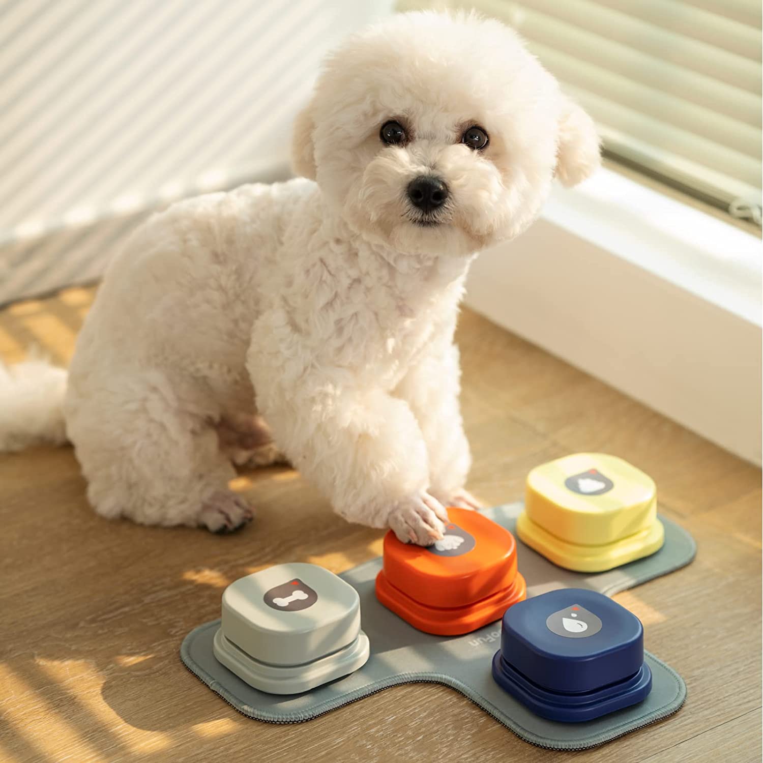 Barko | Intelligente Sprechknöpfe für Hunde
