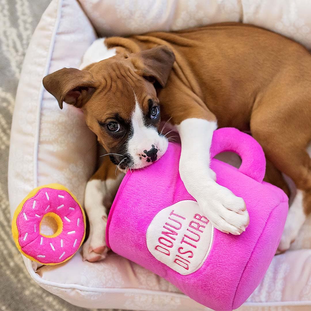 SnackTailz | Interaktives Hundespielzeug – Kaffee & Donuts