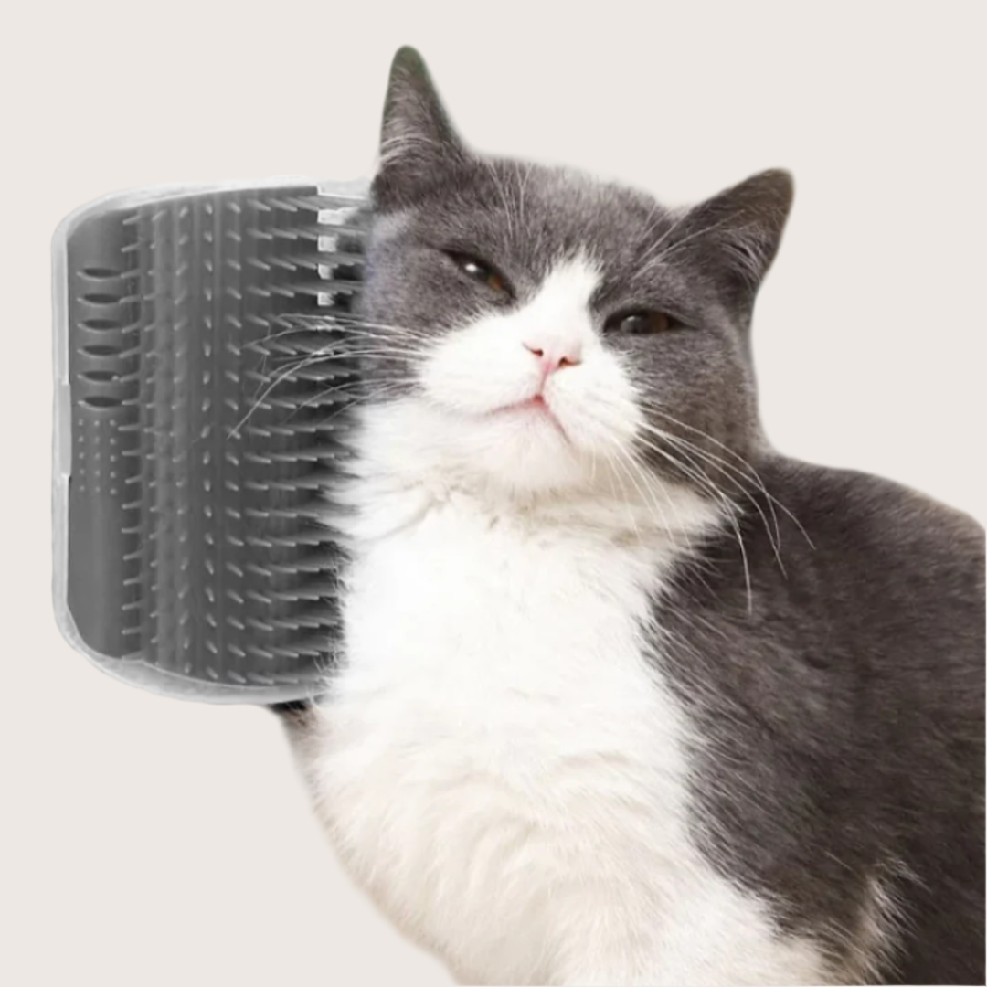 Miko | Selbstmassage-Eckbürste für Katzen mit Easy-Fix-System