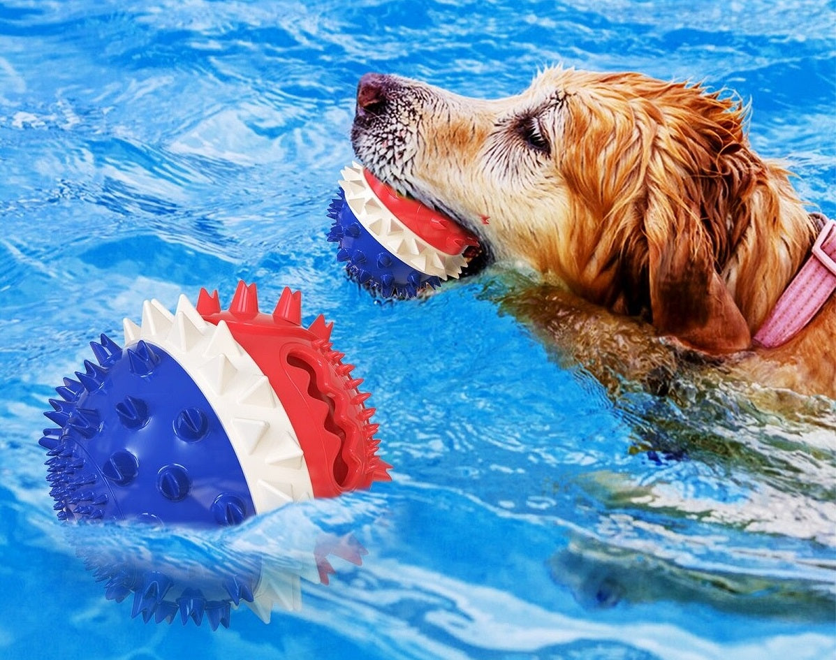 Toro | Interaktives Hundespielzeug für Beschäftigung & Zahnpflege
