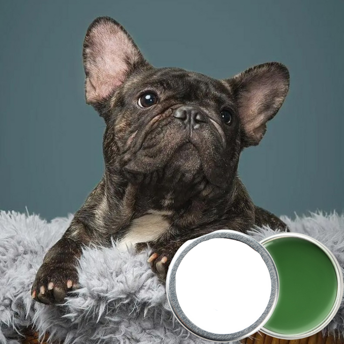 SnoutCare | Pflegende Nasensalbe für Hunde