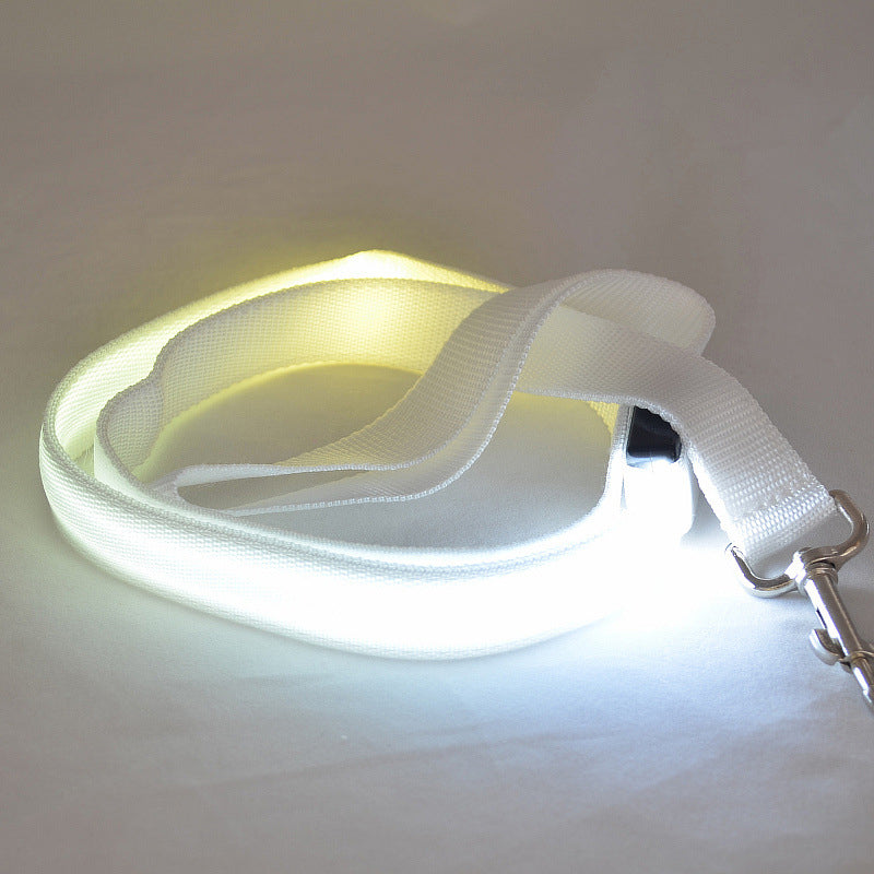 LumiPaw | LED Hundeleine mit USB-Aufladung und 3 Leuchtmodi