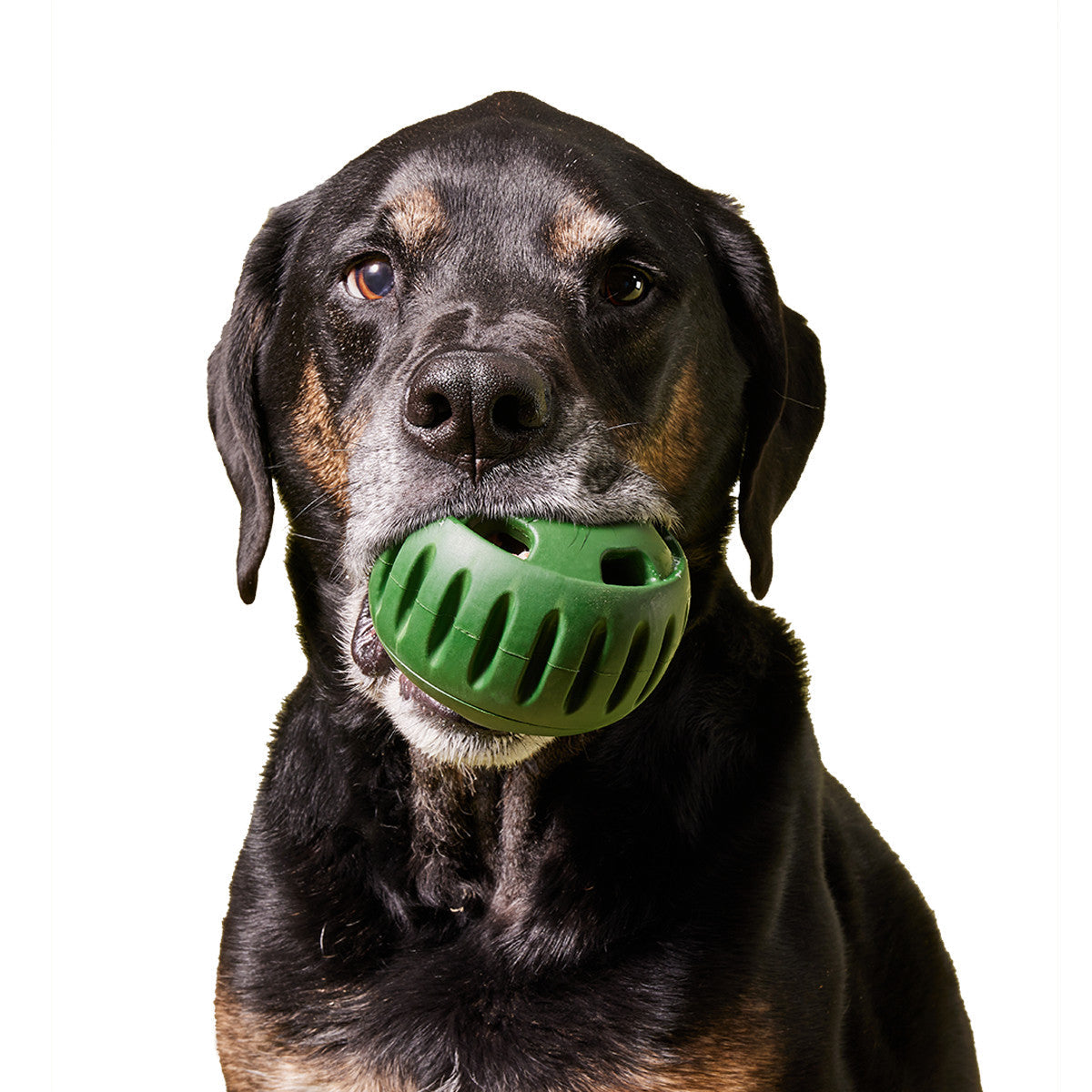 Toby | Einfrierbarer Snackball für Hunde & Katzen