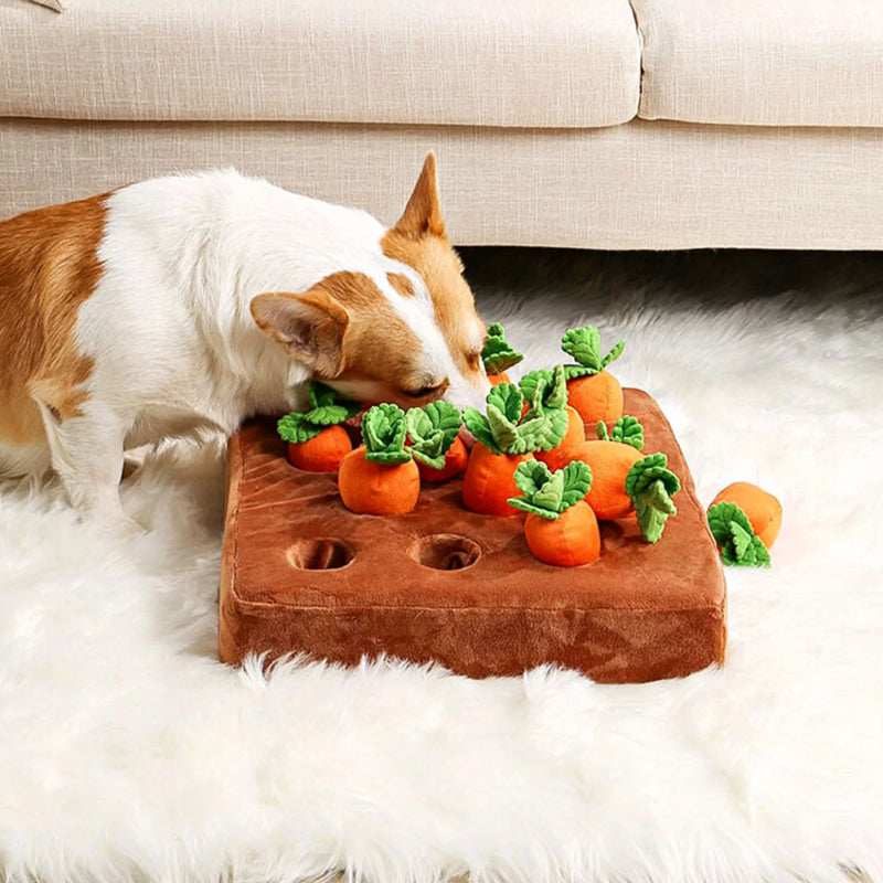 Wuffedo | Interaktiver Karotten-Garten für Hunde