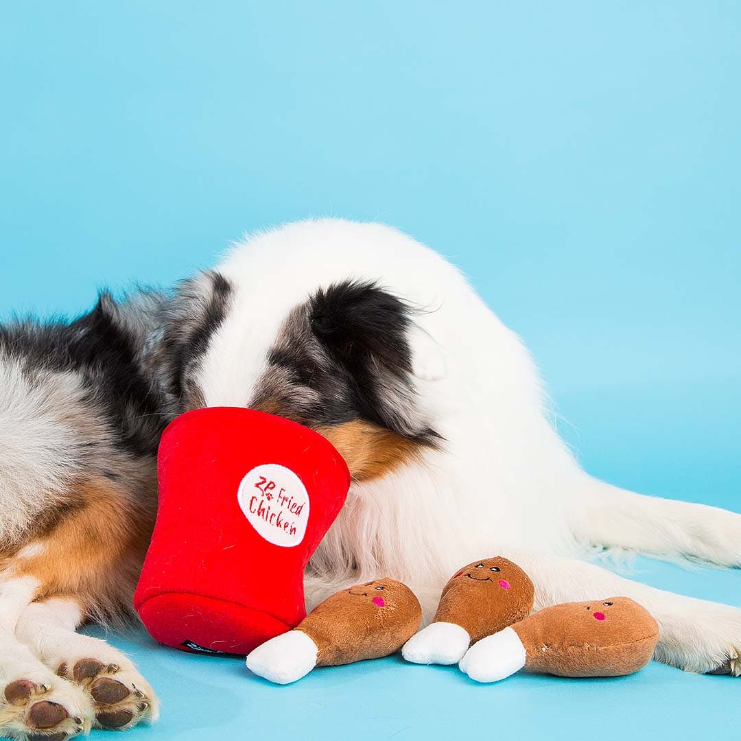 WuffelFeast | Interaktives Hundespielzeug – Chicken Bucket mit Quietsch-Drumsticks