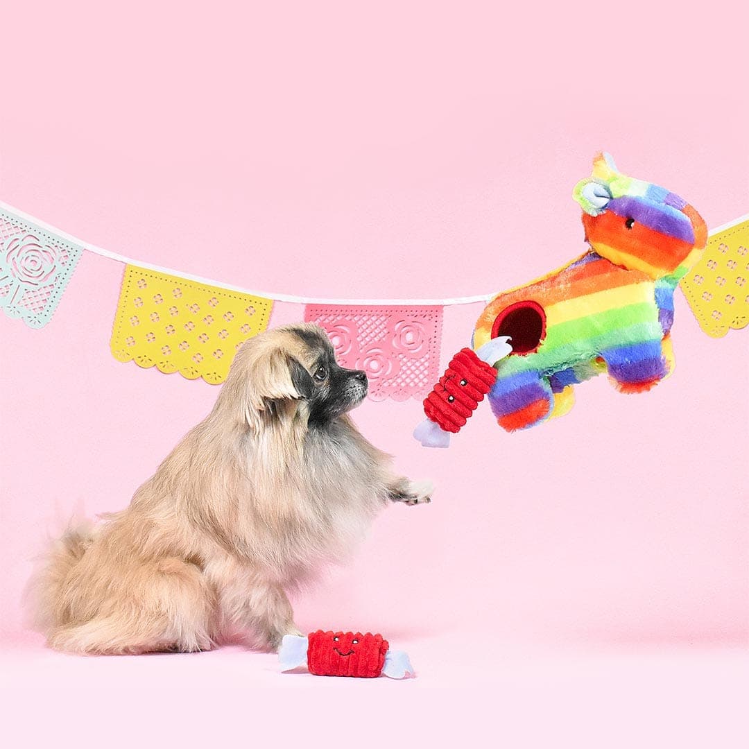 PlayPaw | Burrow Piñata