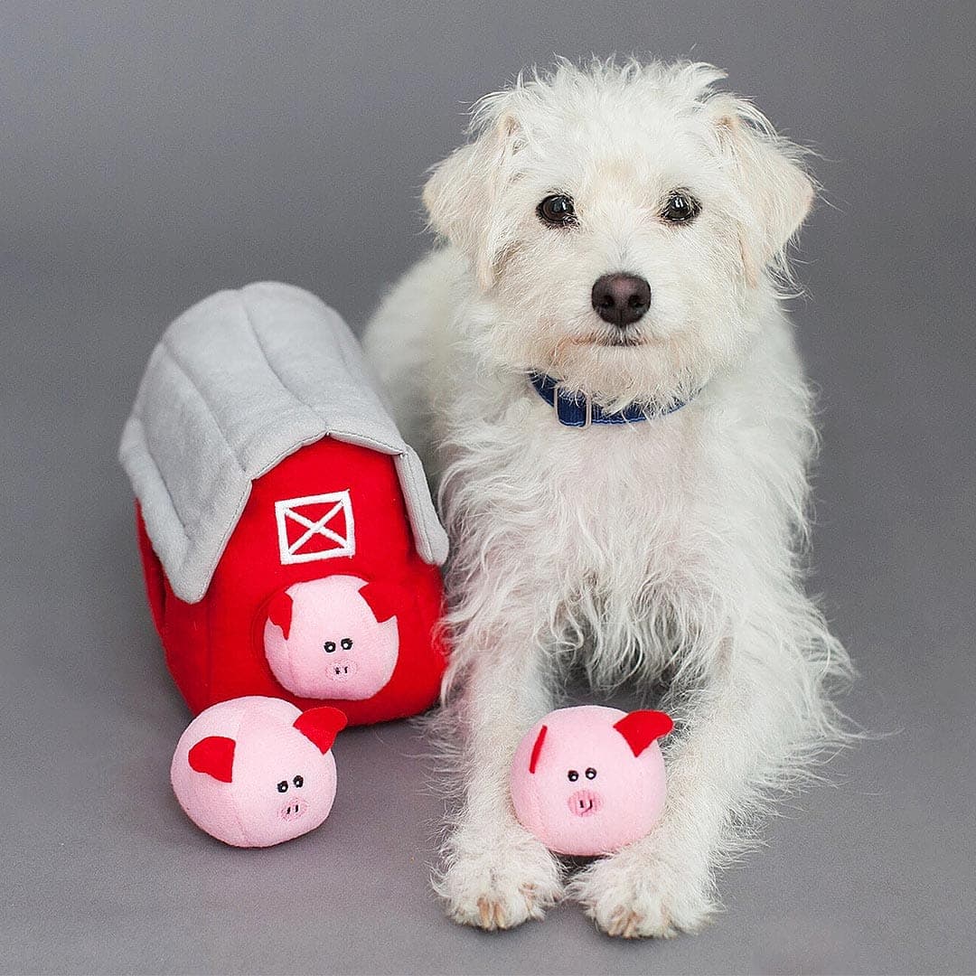 Friedo | Intelligenzspielzeug „Schweinestall“ für Hunde