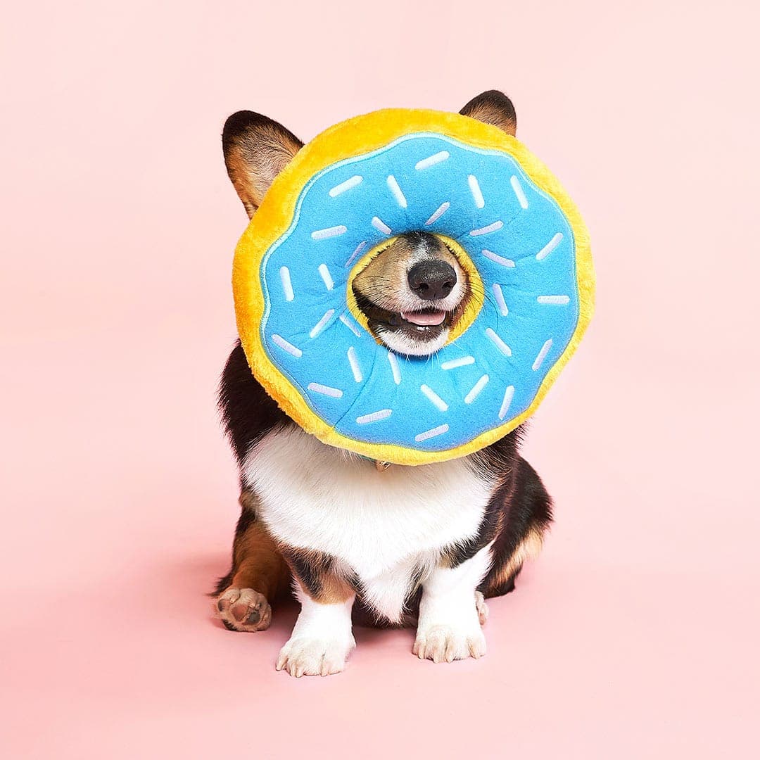 BelloJoy | Jumbo Donut – Regenbogen