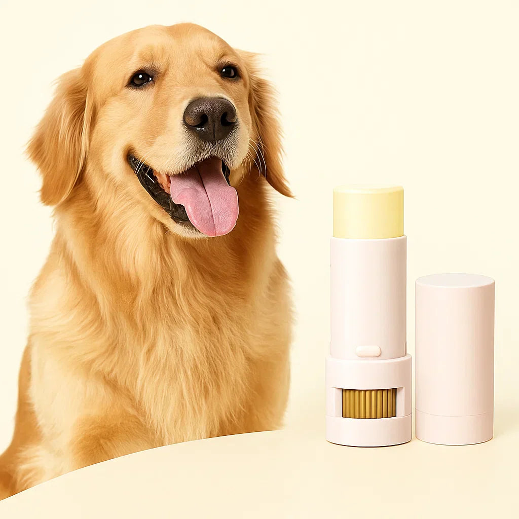 PawLixir | Pflegebalsam-Stick für Pfoten & Hundenase