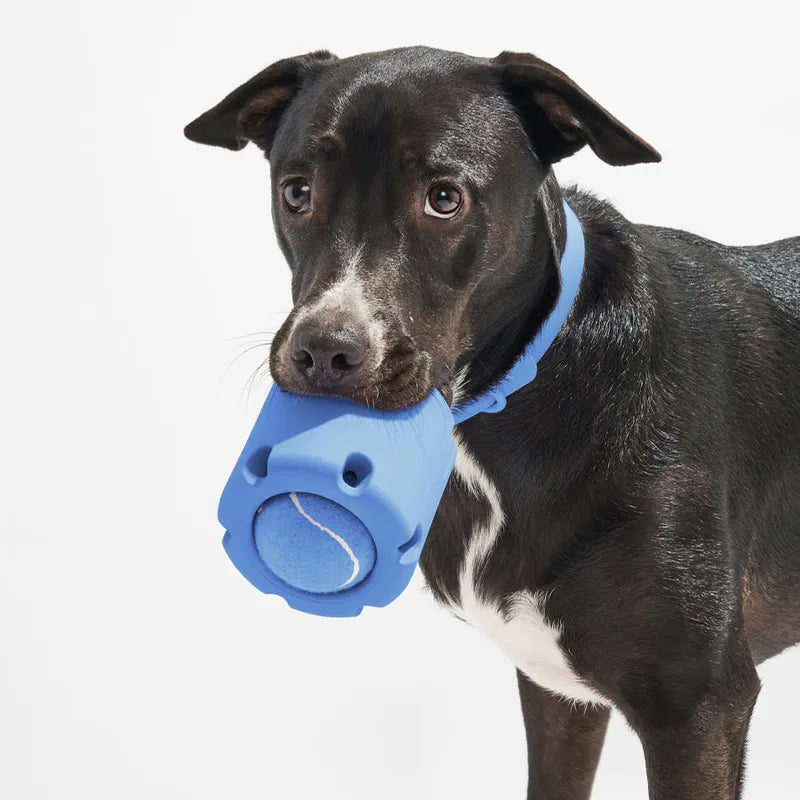 Rufus | Intelligenter Leckerli-Trommelball für Hunde