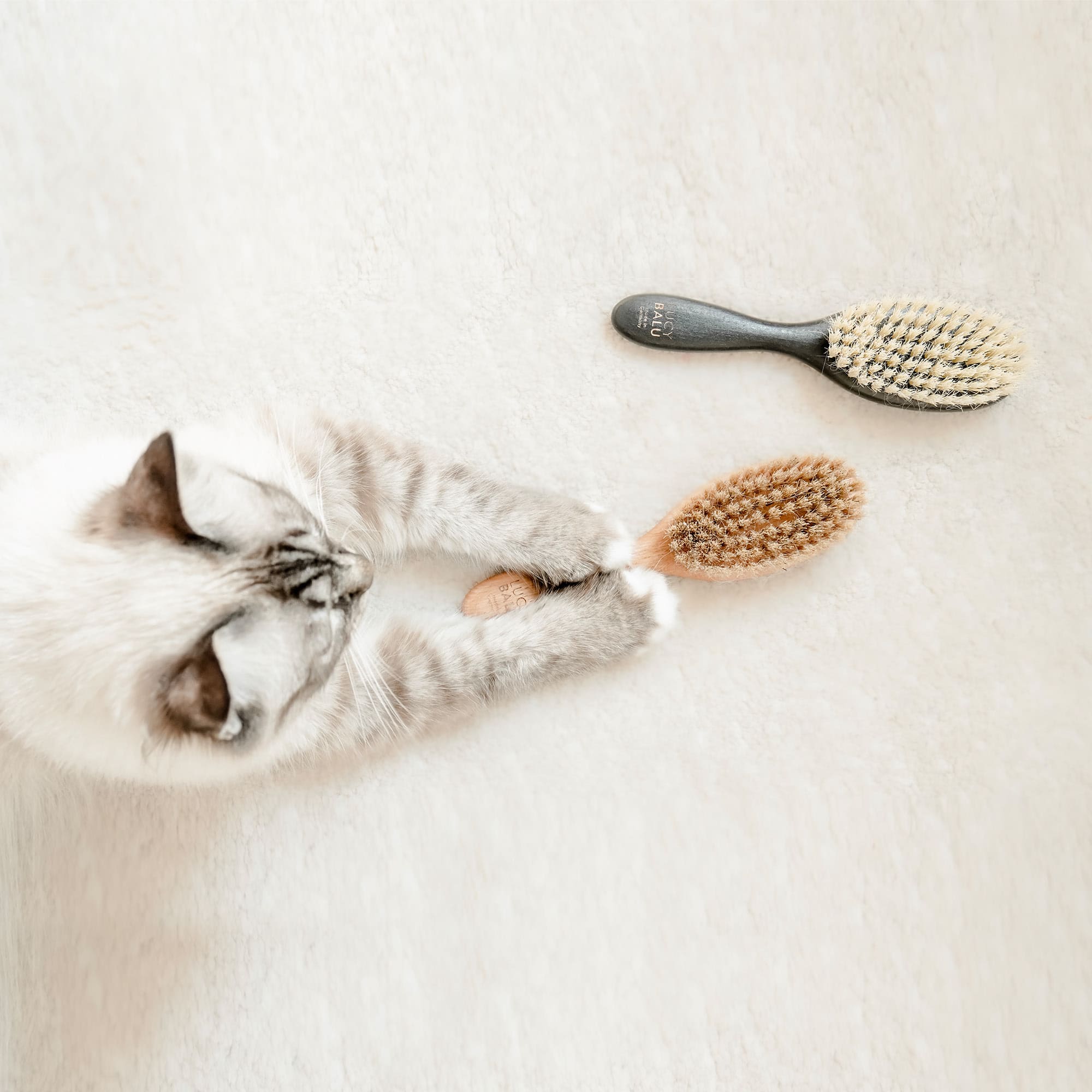 Fellfein | Naturhaarbürste für Katzenpflege
