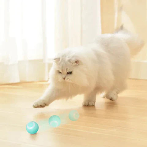 Felina | Intelligenter Selbstrollender Spielball für Katzen