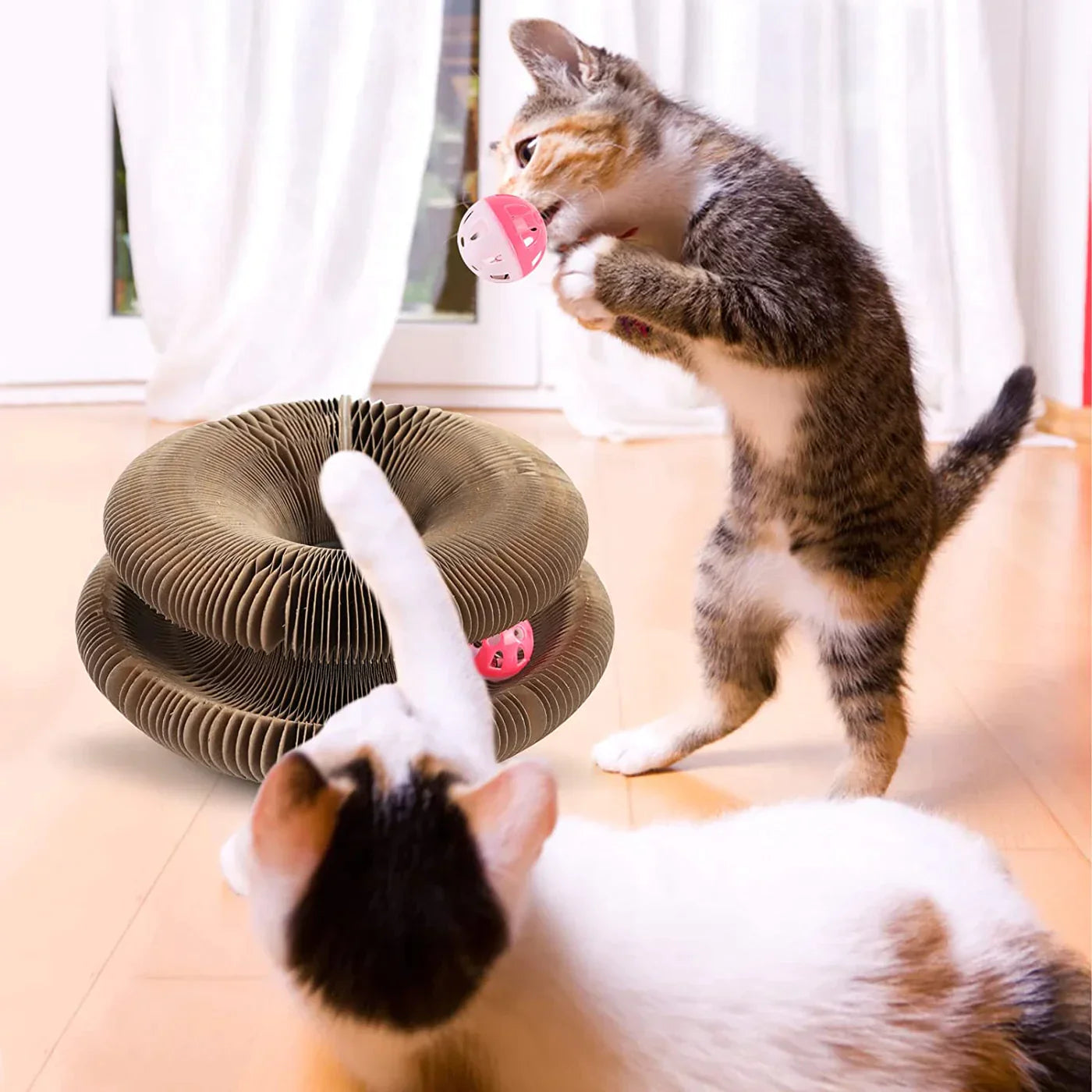 PawWhirl | Interaktives Katzenspielzeug mit Kratzfläche