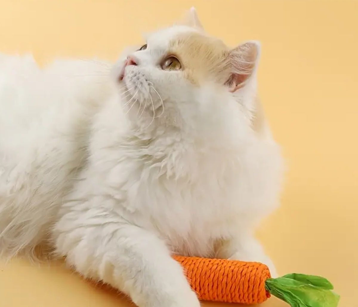 Miro | Zahnfreundlicher Karotten-Kau-Snack für Katzen