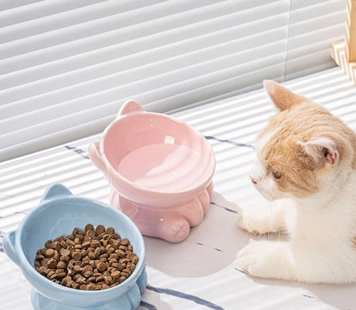 Theo | Eleganter Keramiknapf für stilvolles Katzenfutter-Servieren