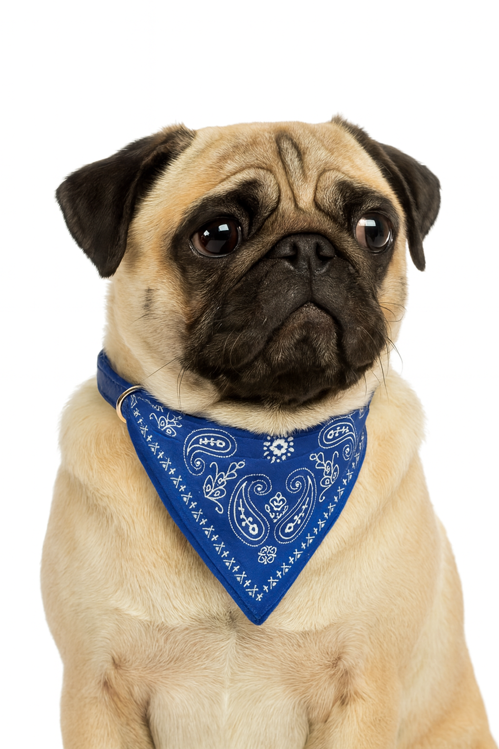 LunaPaw | Bandana-Hundehalsband für kleine Hunde