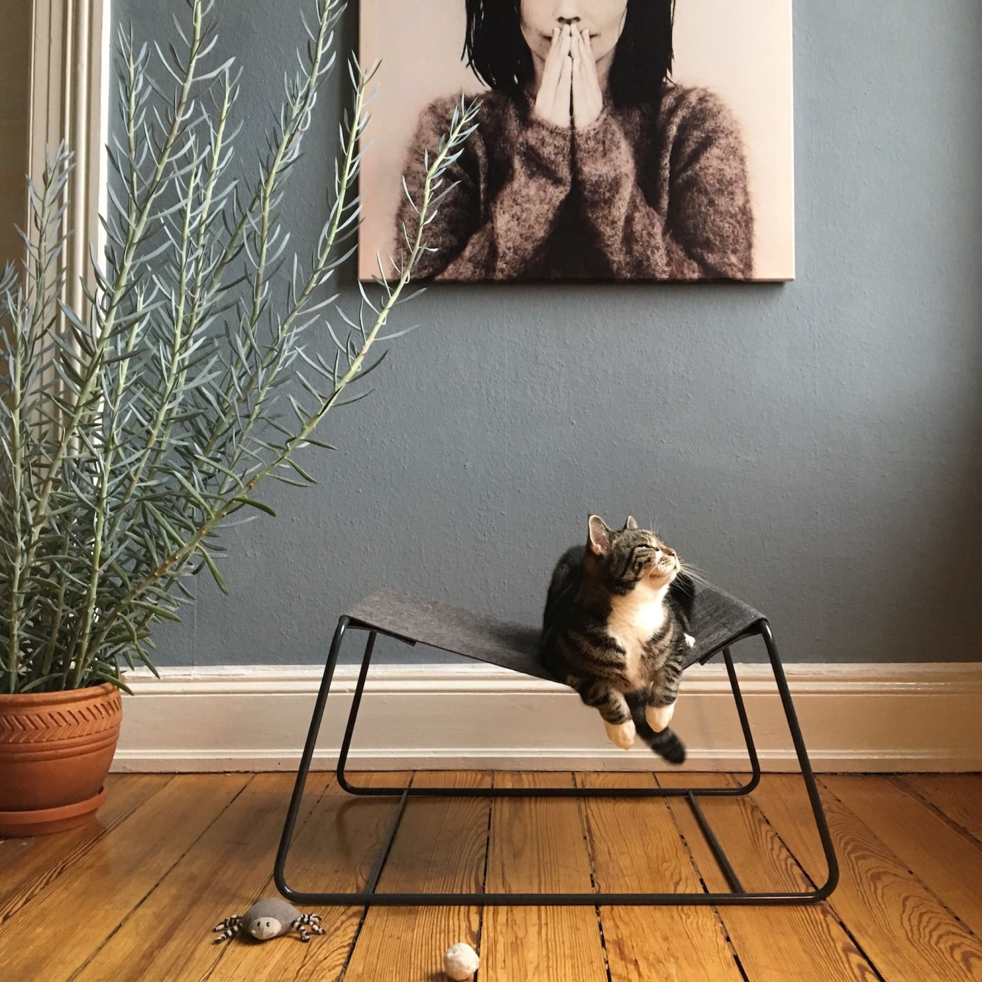 Lioro | Minimalistische Katzenhängematte mit stabilem Metallrahmen