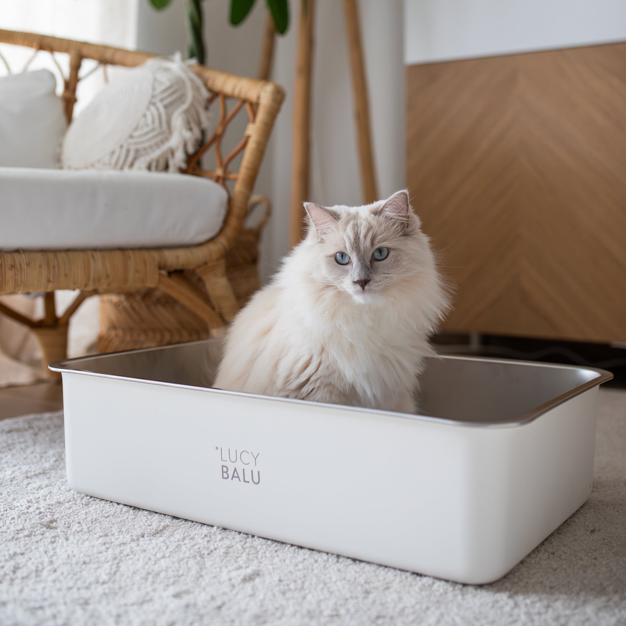PuraPet | Edelstahl-Katzentoilette mit modernem Design