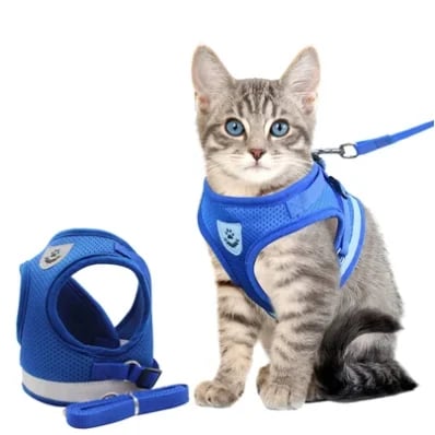 Feliora | Reflektierendes Sicherheitsgeschirr für Katzen
