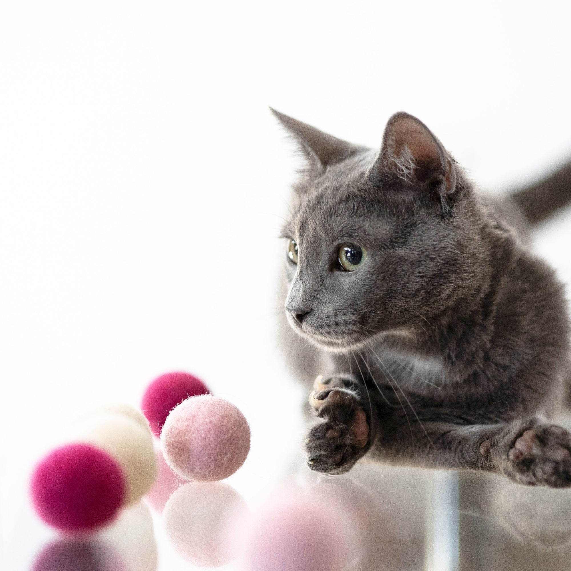 Lunelle | Filzspielbälle für Katzen im verspielten Design