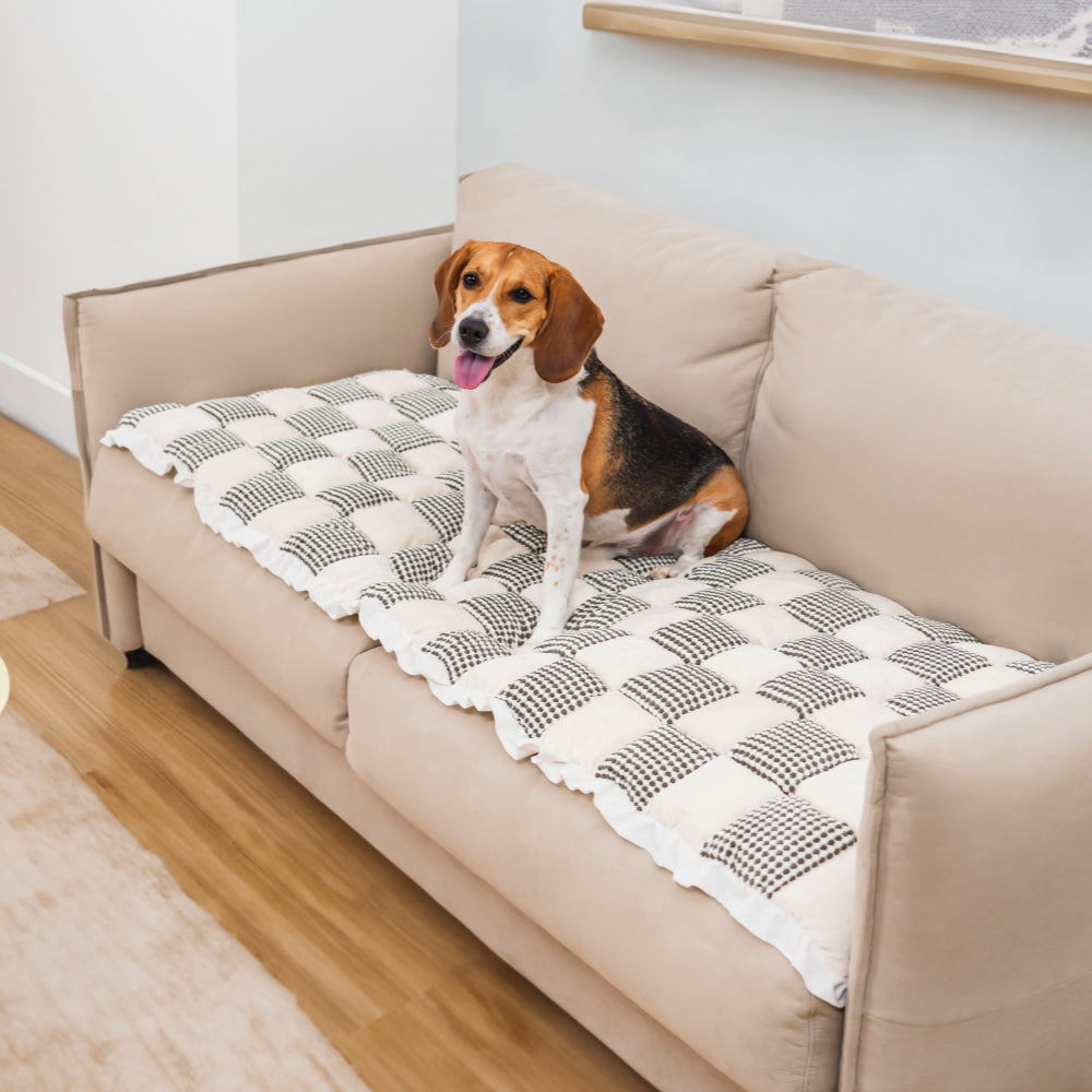 PawShield | Anti-Kratz Haustiermatte & Bezug