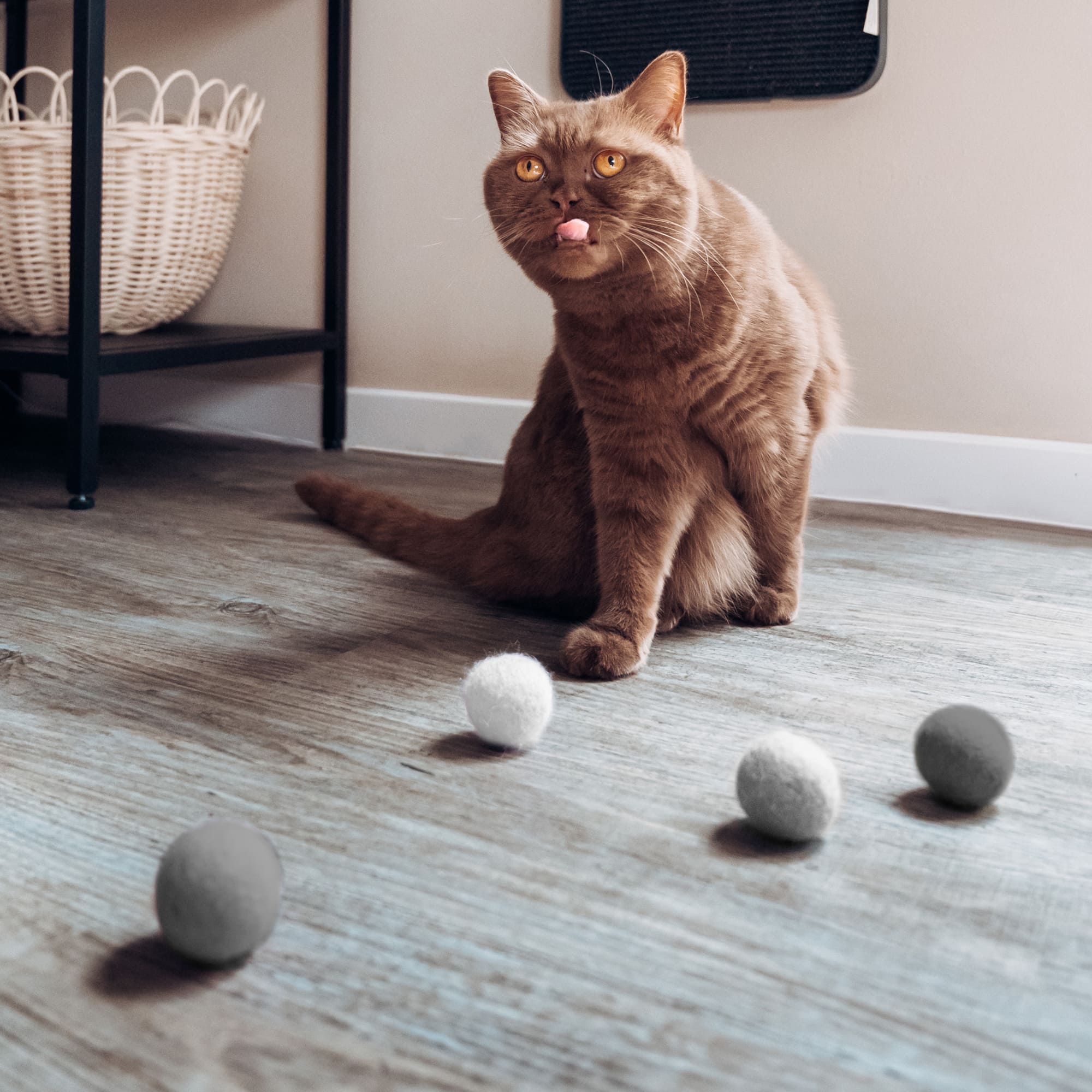 Nolani | Geräuschlose Filz-Spielbälle für Katzen aus Naturwolle