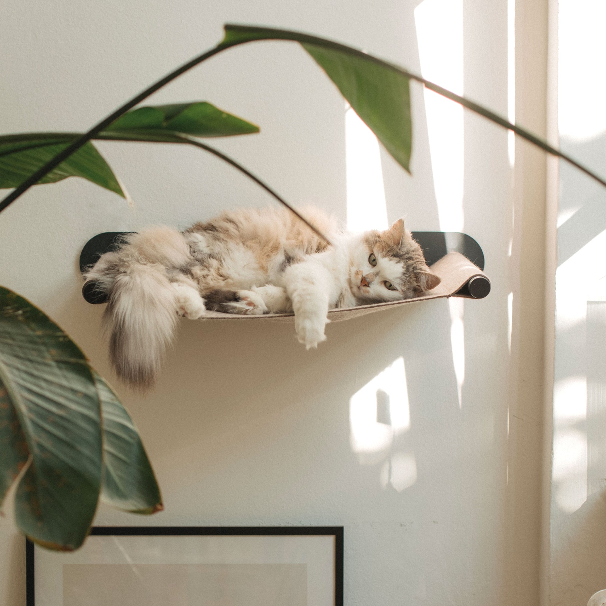 NolaPet | Wandmontierte Katzenhängematte für gemütliche Ruheplätze