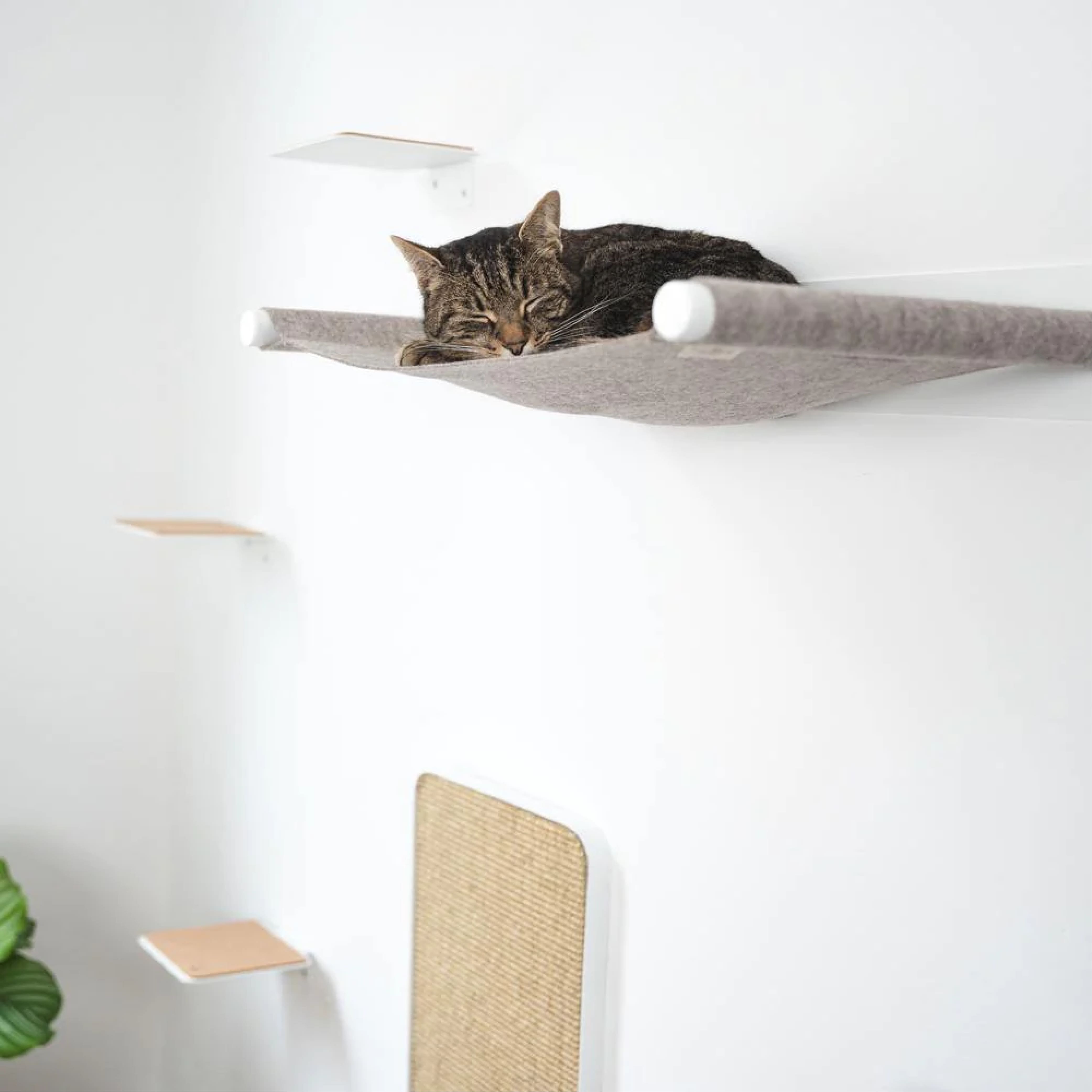 NolaPet | Wandmontierte Katzenhängematte für gemütliche Ruheplätze