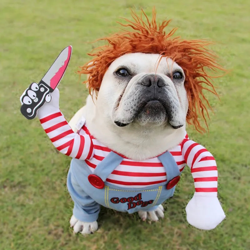 Brutus | Lustiges Halloween-Hundekostüm mit Horrordesign