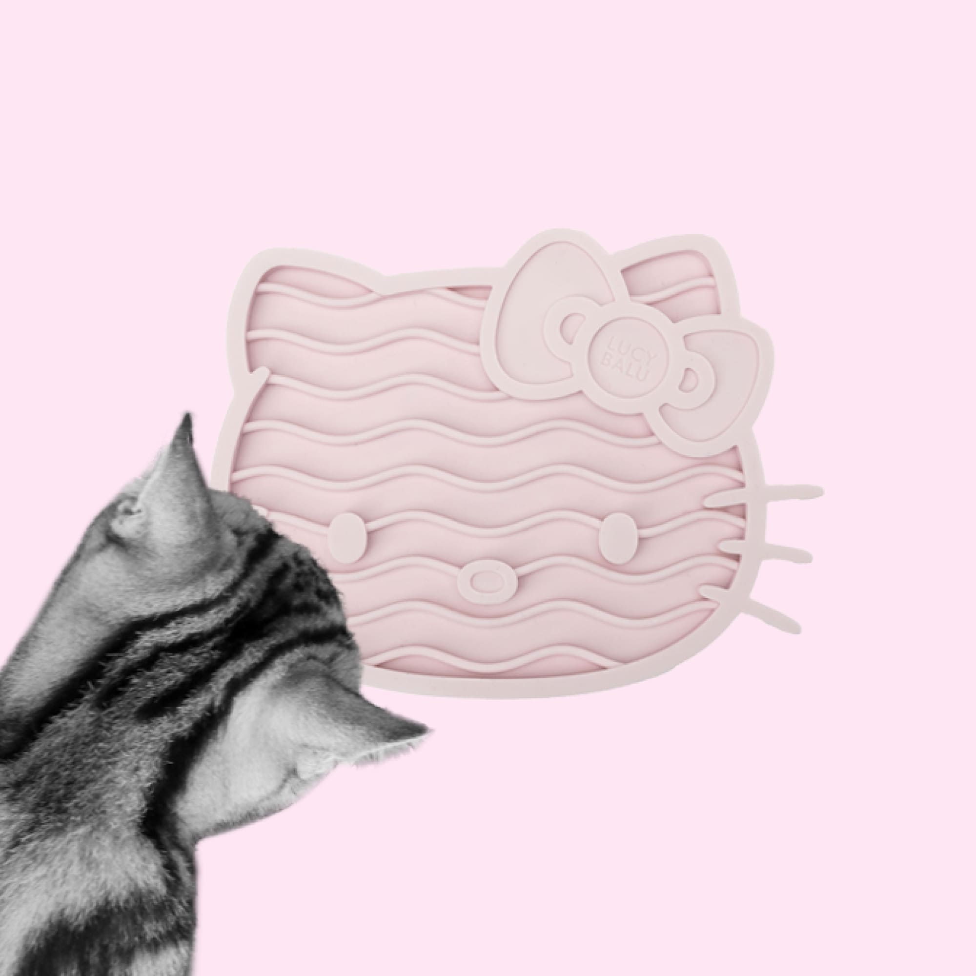 Katzen Leckmatte entschleunigt beim Fressen