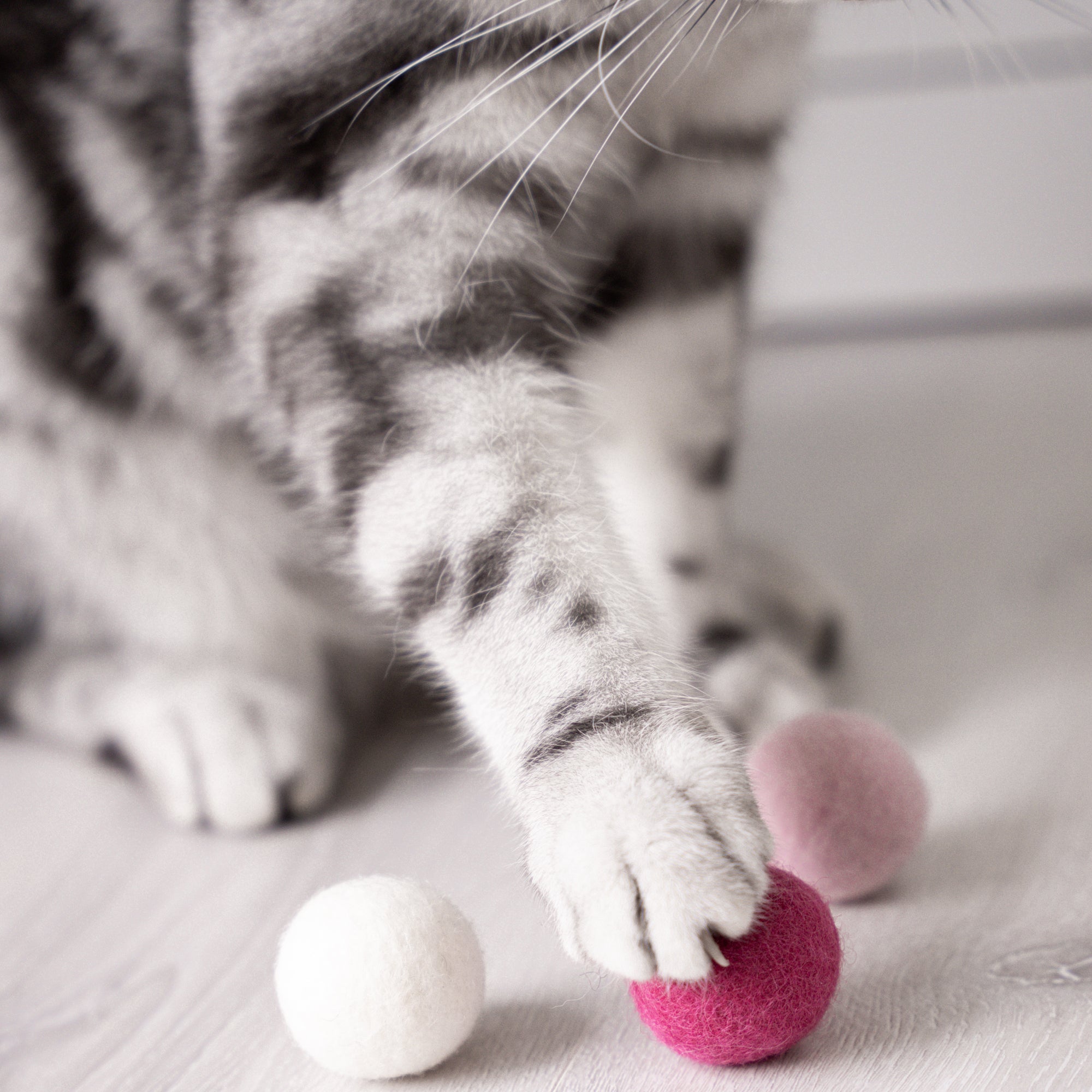 Lunelle | Filzspielbälle für Katzen im verspielten Design