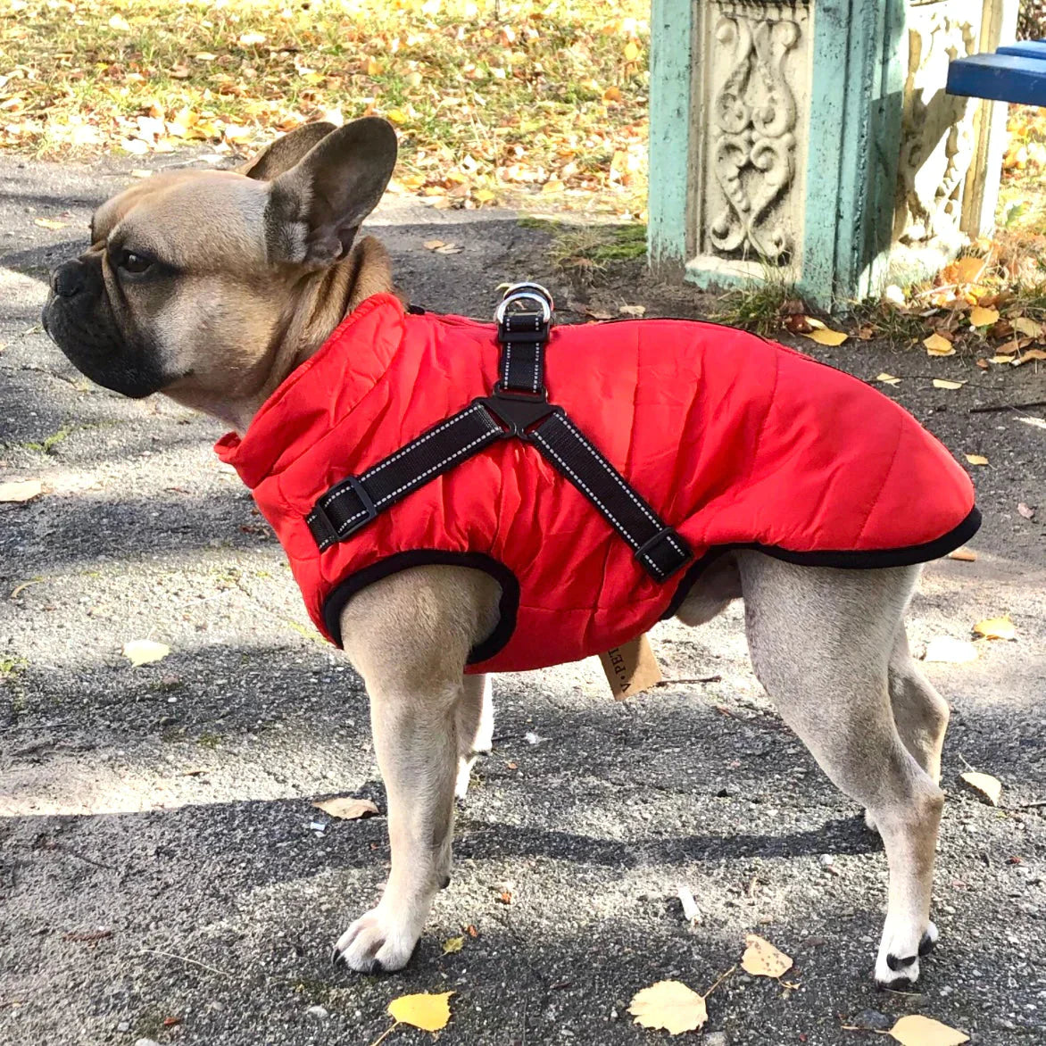 Rufus | Gefütterte Hundejacke mit integriertem Sicherheitsgeschirr