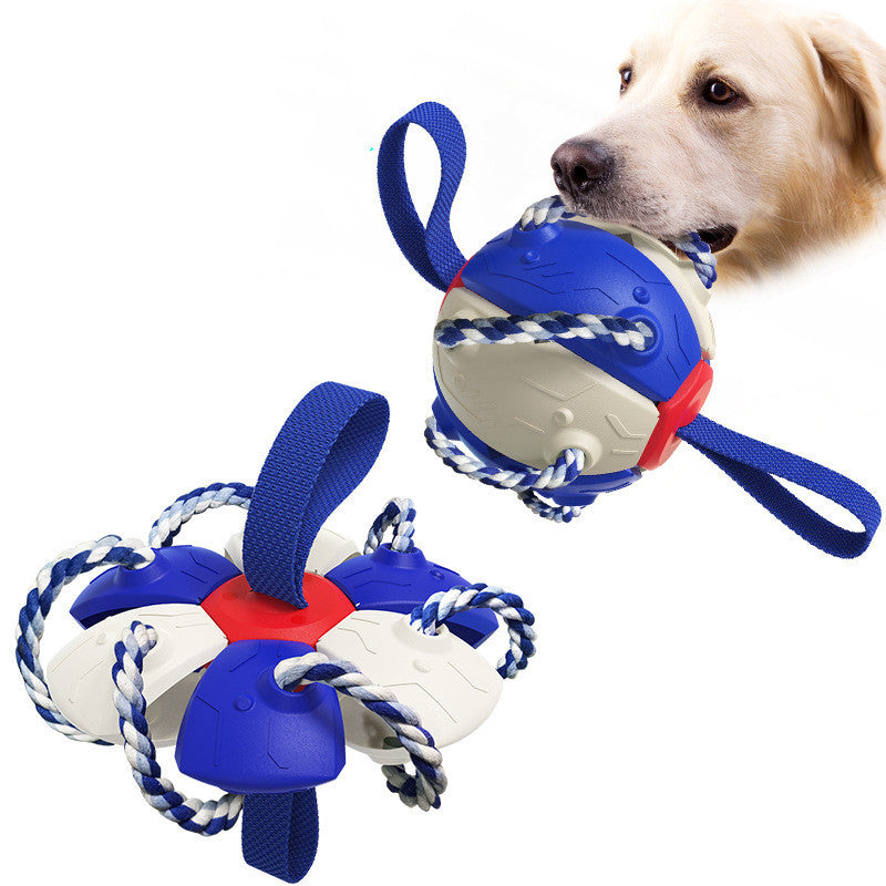 Brando | Interaktiver Hundespielball mit Schleuderfunktion